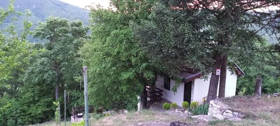 Vila Eva Meduvrsje Exterior foto