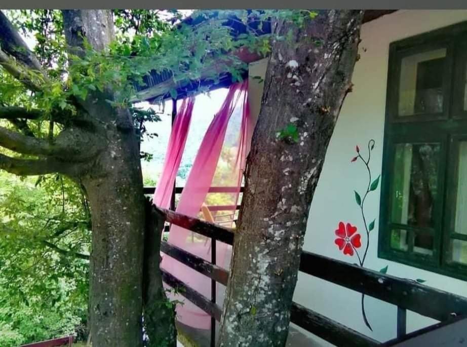 Vila Eva Meduvrsje Exterior foto