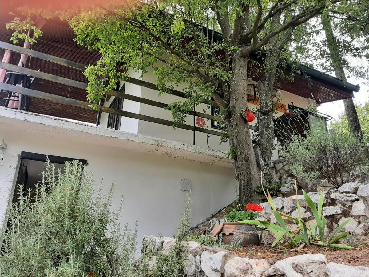 Vila Eva Meduvrsje Exterior foto